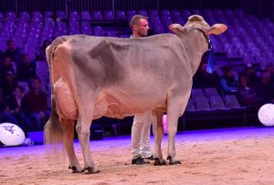Jongleur Wendy 